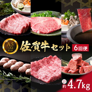 yӂ邳Ɣ[ŁzꋍZbg 4.7kg 6 q Ԑg XCX T[C [X 999-J667