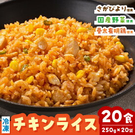 【ふるさと納税】JAさが オリジナル チキンライス 250g×10袋×2箱 173-G242