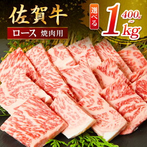 yӂ邳Ɣ[Łzꋍ [X ēpeʂIׂ^400g`1000gy Y Ⓚ a  ɖ uh ē ӂ邳Ɣ[ [X z