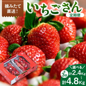 yӂ邳Ɣ[ŁzYuv yS3zeʂIׂ^ ʂZbgEiZbg y ʕ t[c  ӂ邳Ɣ[ ʕ z