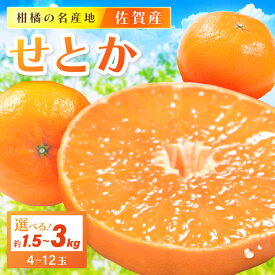 【ふるさと納税】佐賀産 かんきつ せとか ＜内容量が選べる／約1.5kg（4-7玉） ・約3kg（7〜12玉）＞ 【 果物 フルーツ 柑橘 みかん 蜜柑 オレンジ 柑橘 フルーツ デザート せとか みかん ふるさと納税 フルーツ 】
