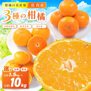 �y�ӂ邳�Ɣ[�Łz����Y�݂��񁃎�ށE���e�ʂ��I�ׂ�^�����݂��� �͂܂��� ���Ƃ� ��1.5kg�`��10kg�����y �݂��� �ʕ� �t���[�c �������� ���� �I�����W ���񂫂� �Â� �Z�� �W���[�V�[ �y