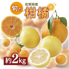【ふるさと納税】佐賀の旬の柑橘をお届け 佐賀産かんきつ2kg B396