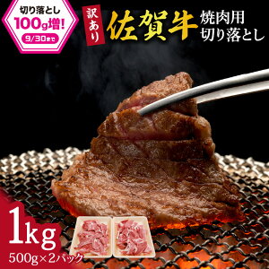 yӂ邳Ɣ[ŁzyƓẃz󂠂 ꋍ ēp؂藎Ƃ1kg 100-J707 y  uh јa Ă BBQ o[xL[ yV z