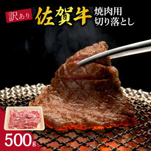 yӂ邳Ɣ[Łz󂠂 ꋍ ēp؂藎Ƃ500g 100-J1206