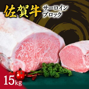 yӂ邳Ɣ[Łzꋍ T[C ubN 15kg 100-J798