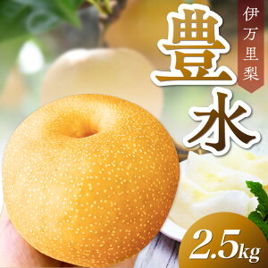yӂ邳Ɣ[Łzy ʌ z ɖ  L 2.5kg ߘa7NY 113-B849 y Ԍ  4`8 t[c ʕ  Ȃ iV z