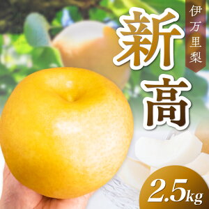 yӂ邳Ɣ[Łzy ʌ z ɖ V 2.5kg ߘa7NY 113-B851 y Ԍ  4`8 t[c ʕ  Ȃ iV 9`10\ z