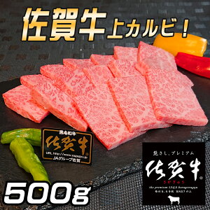 yӂ邳Ɣ[Łzꋍ JrZbg500g 161-J779