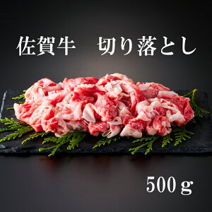 yӂ邳Ɣ[Łzꋍ ؂藎Ƃ 500g 161-J879