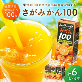 【ふるさと納税】【佐賀県産温州みかん使用】 みかんジュース さがみかん100 1L×6本 果汁100% 173-A057 【 みかん 果物 フルーツ くだもの 蜜柑 オレンジ オレンジジュース 国産 人気 おすすめ お土産 送料無料 】