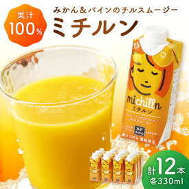 【ふるさと納税】【佐賀県産温州みかん使用】 果汁 ミックスジュース ミチルン 330ml×12本 173-A058