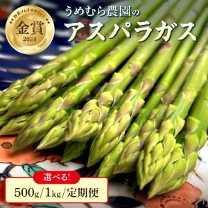 yӂ邳Ɣ[Łzy6菇z ؃\GT~bg 2024N3xw܁x s~_̃AXpKXt500g 1kg  1kg×4