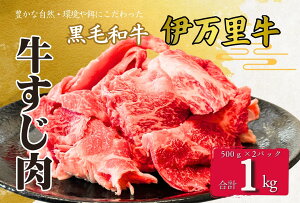 yӂ邳Ɣ[Łzɖ Ђ 500g×2pbN J[ ł ύ 172-J962