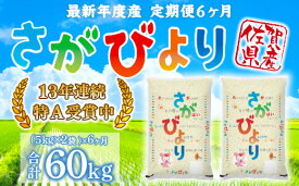 【ふるさと納税】「令和5年産」さがびより 定期便 6ヶ月 60kg B605