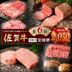 yӂ邳Ɣ[ŁzyŒ ցz̒! I ꋍ u͂ijS6 999-J1169