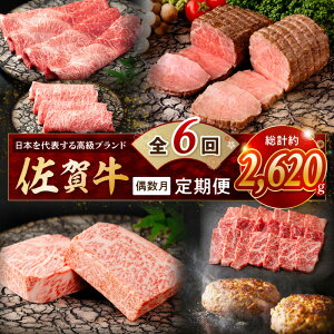 yӂ邳Ɣ[ŁzyŒ ցz̒! I ꋍ u͂ijS6 999-J1170 y  Y ꋍ Ԃ Ԑg ē ₫ɂ no[O ؂ T[C