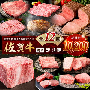 yӂ邳Ɣ[ŁzyŒ ցz̃v~A!  ꋍ ͂!S12 999-J1173y Y a  uh Xe[L Ă BBQ o[xL[ Ⓚ  ӂ邳Ɣ[