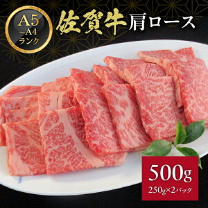 yӂ邳Ɣ[Łzꋍ [X ē 500g 117-J370y  uh A4Nȏ јa Ԑg Ă BBQ o[xL[ z
