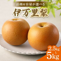 楽天市場】梨 幸水（総個数12 ～ 23個入り）の通販