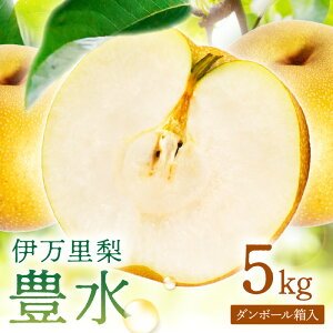 yӂ邳Ɣ[Łzy ʌ z ɖ  L 5kg ߘa7NY 199-B858