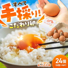 【ふるさと納税】いとう君ちのあっぱれ卵 24個（6個×4パック）ギフトBOX /いとう養鶏場[UAQ001] 卵 たまご タマゴ ギフトボックス
