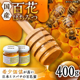 【ふるさと納税】日本蜜蜂 百花 はちみつ 計400g（200g×2）純粋蜂蜜 /永尾忠則 [UAS004]