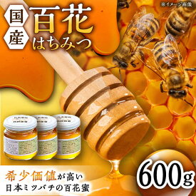 【ふるさと納税】日本蜜蜂 百花 はちみつ 計600g（200g×3）純粋蜂蜜 /永尾忠則 [UAS005]
