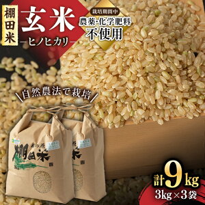 yӂ邳Ɣ[ŁzyIׂeʁzys\zߘa7NY V R_@ňĂ ꌧY IcăqmqJ 6kgi3kg×2܁j/ 9kgi3kg×3܁j /i [UAS007]   ʍ͔| 