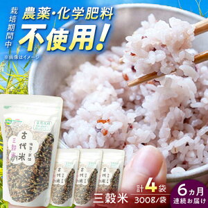 yӂ邳Ɣ[Łzy6ցzR_@ňĂ O 1.2kgi300g×4܁j/i [UAS015] G G  