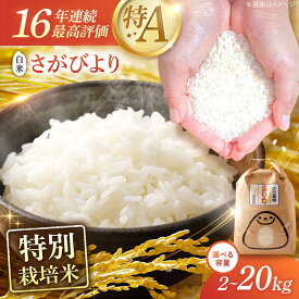 【ふるさと納税】【選べる発送月】16年連続特A評価 令和7年産 特別栽培米 さがびより 白米 2kg・5kg・10kg・20kg /江口農園 [UBF004] 米 お米 ブランド米 佐賀県産 お米 おいしい ランキング 人気 国産 佐賀県産 精米 ご飯
