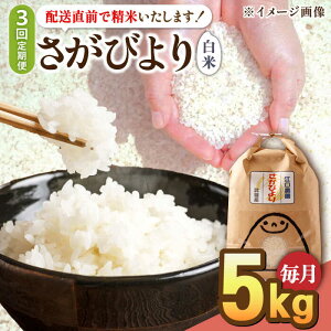yӂ邳Ɣ[Łzy2026N1Jnzy3ցzߘa7NY т  5kg15NAA] zO/]_[UBF025]   uh ꌧY