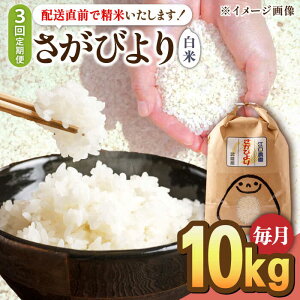 yӂ邳Ɣ[Łzy2026N1Jnzy3ցzߘa7NY т  10kg15NAA] zO/]_[UBF027]   uh ꌧY