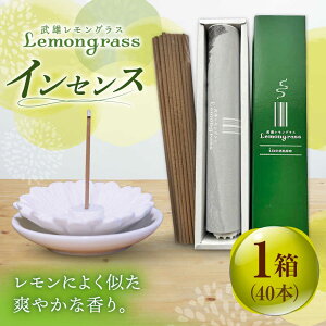 yӂ邳Ɣ[ŁzOX CZX 1 /NbvXYOX[UBG004]