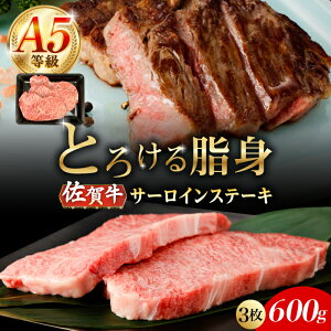 yӂ邳Ɣ[ŁzyIׂeʁzA5 ꋍ T[CXe[L 200gE400gE600g /i`t[Y[UBH097] ꋍ T[C [X Xe[L