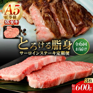 yӂ邳Ɣ[Łzy6ցzA5 ꋍ T[CXe[L 600gi200g×3j/i`t[Y[UBH107] ꋍ T[C [X Xe[L