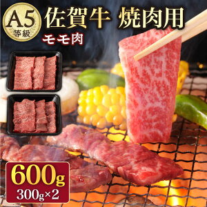 yӂ邳Ɣ[ŁzA5 ꋍ ēp  600g ( 300g × 2pbN ) /i`t[Y [UBH016] ꋍ Ԑg ē A5N