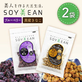 【ふるさと納税】大豆のお菓子 SOY美EAN 2袋セット（黒蜜きなこ・ブルーベリー） /宮本邦製菓 [UBN002]