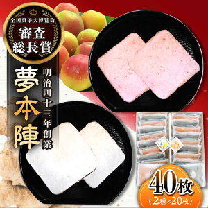 yӂ邳Ɣ[ŁzSَq唎 R܎ {w 40i2×20j /b{[UBQ017]  ׂ Zbg lߍ킹 َq aَq