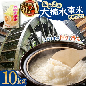 yӂ邳Ɣ[ŁzyIׂeʁzߘa7NY V 퐅ԕ т 5kgE10kg /ؒ܂Â萄ic [UBY003]