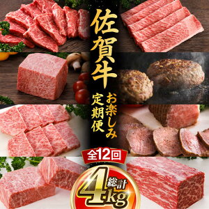 yӂ邳Ɣ[ŁzyS12z A5N ꋍ  ~ Hה  2lO v4kg ō јa  Ys ēǂ [UCC002] ꋍ јa a Xe[L XCX [X