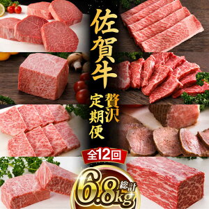 yӂ邳Ɣ[ŁzyS12z A5N ꋍ  ~ Hה  2-3lO v6.8kg ō јa  Ys ēǂ [UCC004] ꋍ јa a q tB Xe[L 
