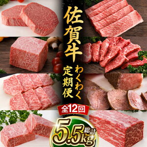 yӂ邳Ɣ[ŁzyS12z A5N ꋍ  ~ Hה  2-3lO v5.52kg ō јa  Ys ēǂ [UCC005] ꋍ јa a Xe[L XCX