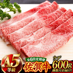 yӂ邳Ɣ[Łzy6ցEɂ͂zꋍ A5 Ă Ԃ 600g Ef [UCC017] ꋍ   јa a Ԑg XCX 