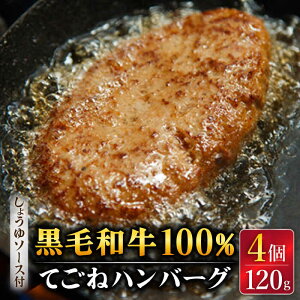 yӂ邳Ɣ[Łzјa100 育 no[O 120g×4 傤\[Xt /t`Lb` v~G [UCF003] no[O   \[Xt
