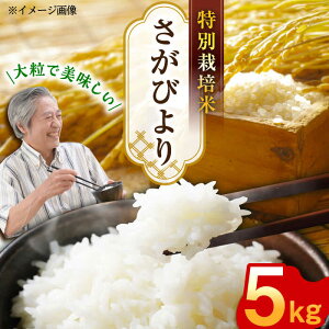 yӂ邳Ɣ[Łzʍ͔| ߘa7NY V т  5kg /悵_ [UCY001]