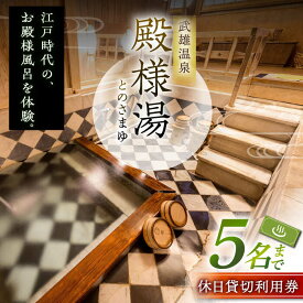 【ふるさと納税】武雄温泉 殿様湯 温泉利用券（休日プラン） 貸切風呂 家族風呂 [UCZ004]