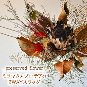 yӂ邳Ɣ[ŁzvU[uht[ ~c}^ƃveA2WAYXbO Ǐ /͂Ȃ [UDC001]  vU[uht[ XbO ԑ