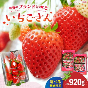 yӂ邳Ɣ[ŁzyIׂ锭zys\z̃uh  920gi230g×4pj/ʓX[UDK006]