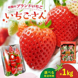 yӂ邳Ɣ[ŁzyIׂ锭zys\z̃uh  1kgi250g×4pj/ʓX[UDK007]